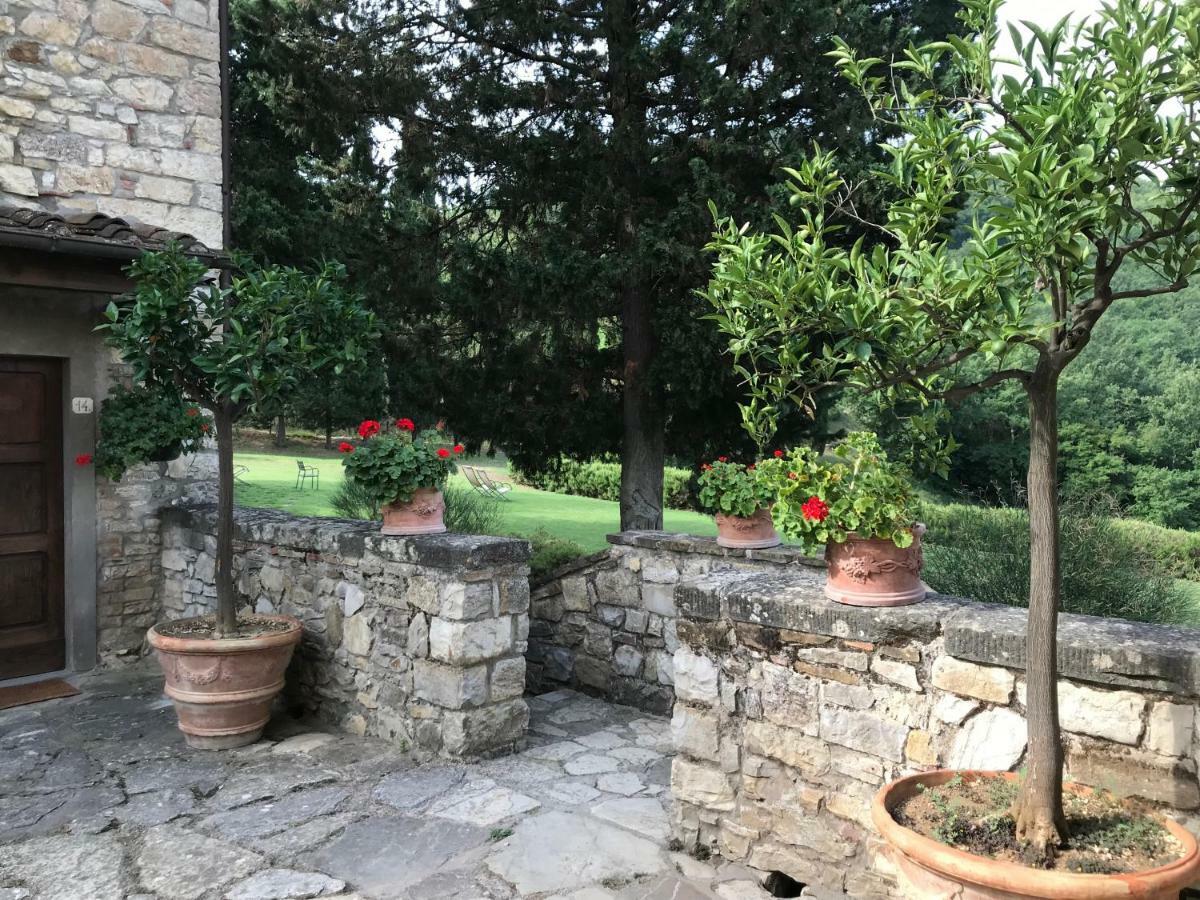 Foresteria Castello Di Verrazzano 基安蒂格雷夫 外观 照片